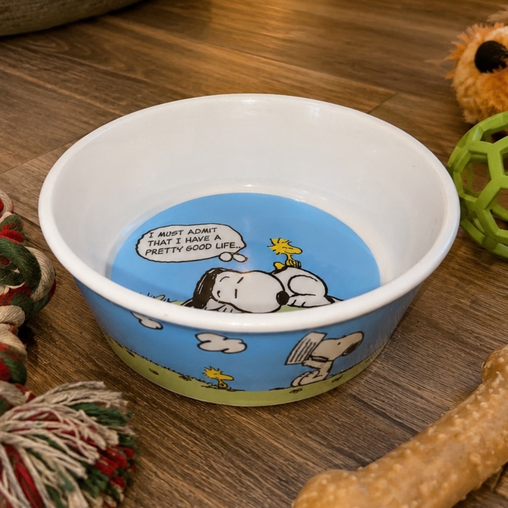 Peanuts Snoopy & Woodstock Ceramic Bowl - Light Blue